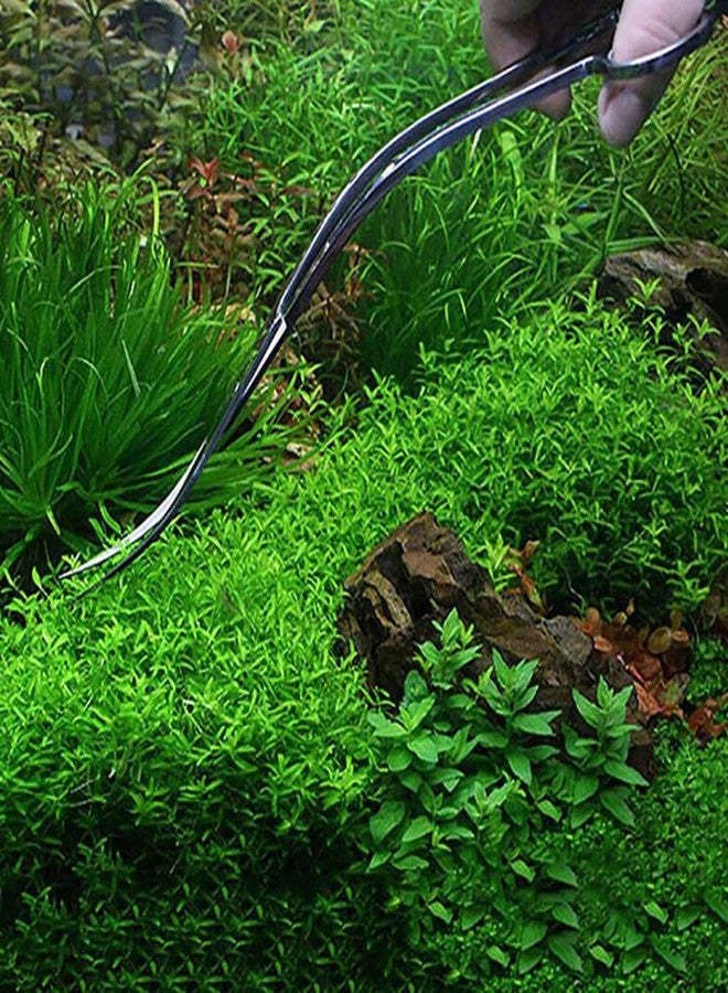 VAYINATO PetzLifeworld Planted Aquarium Aquascaping Stainless Steel Tools 27CM (Curved Wave Scissors) - Image 3